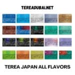 TEREA JAPAN ALL FLAVORS